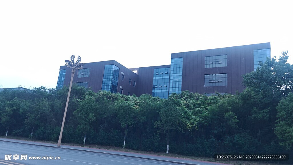 校园建筑旁的葱郁绿植