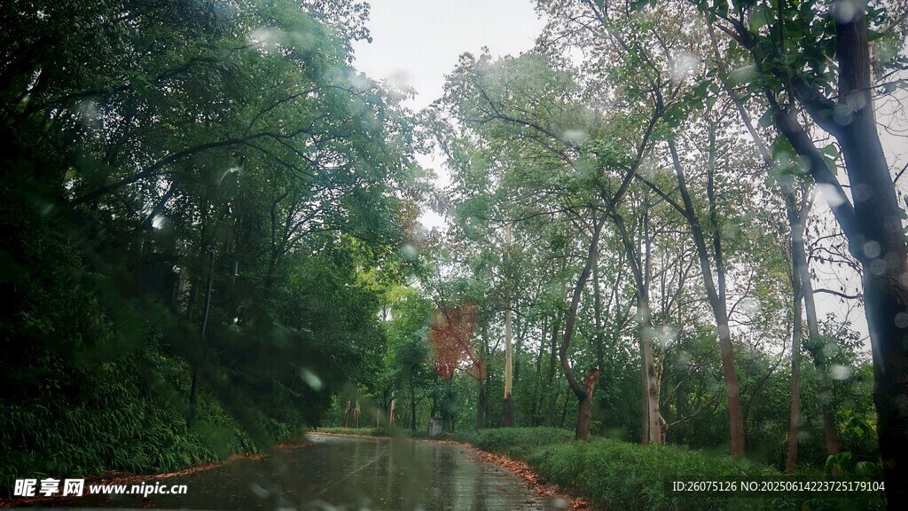 林间小道
