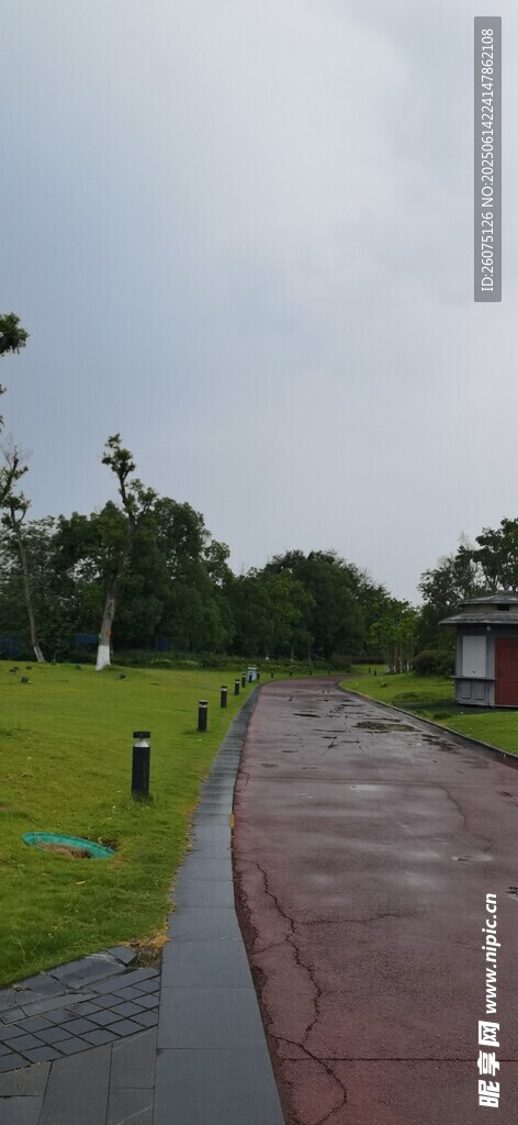 雨后公园小径与葱郁草地