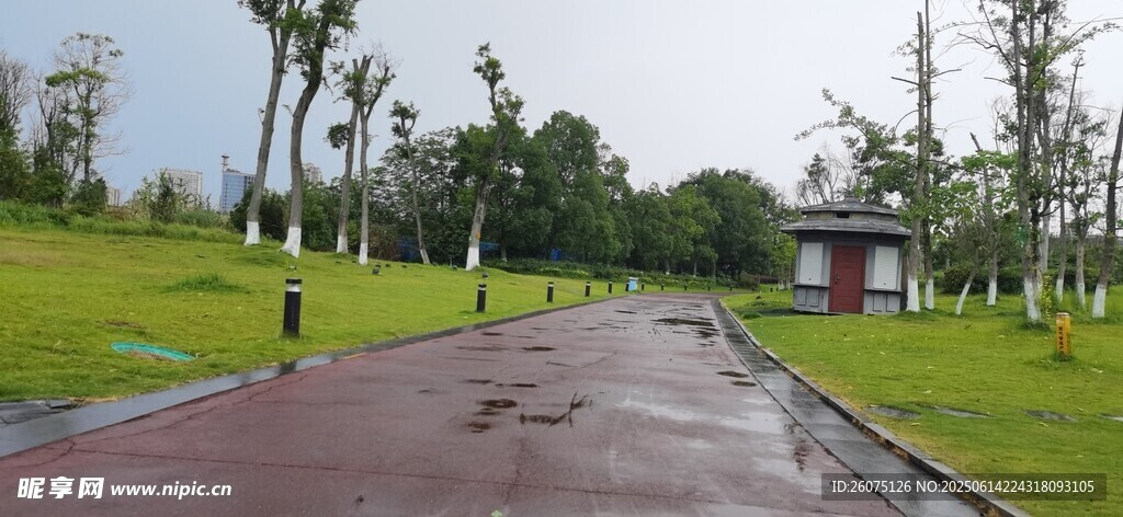 公园中的宽阔柏油道路