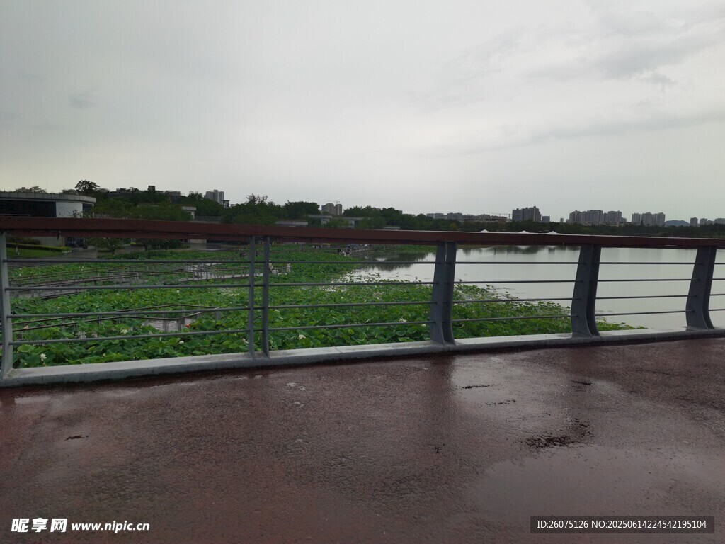 雨中河畔观景台