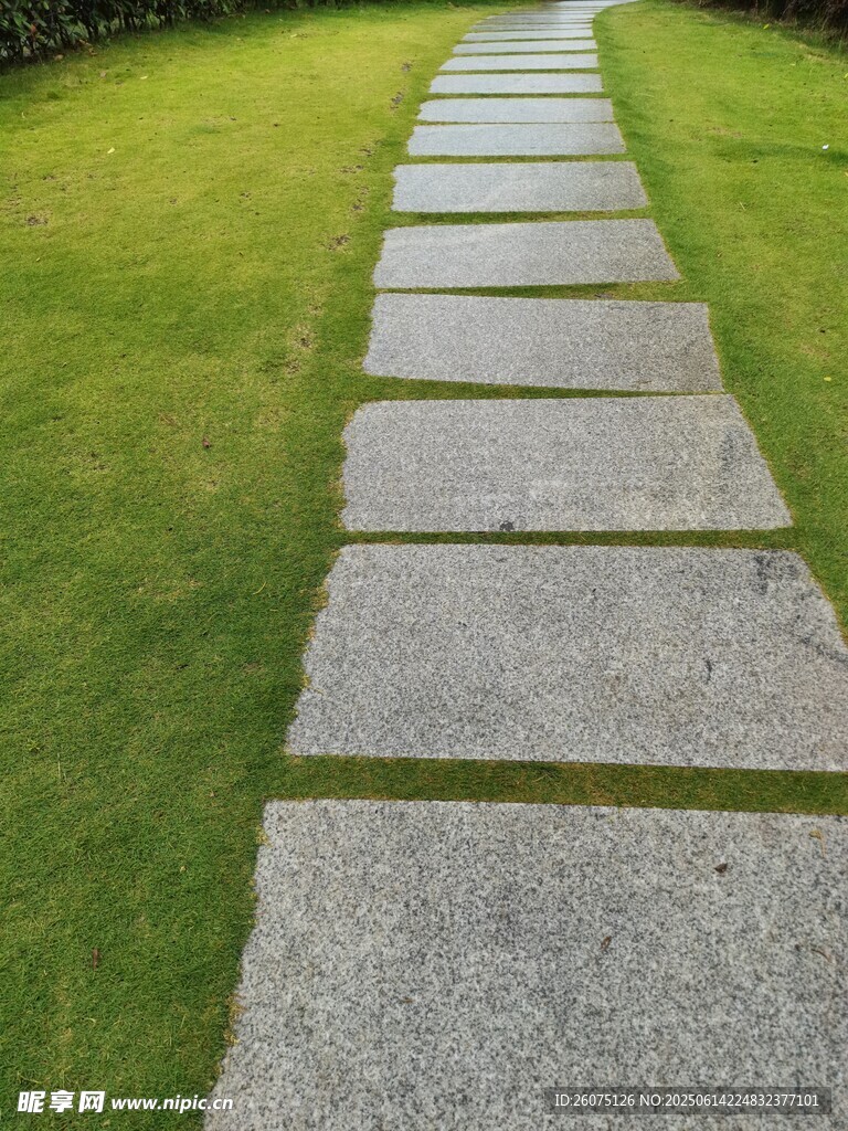 石板小径穿绿草地