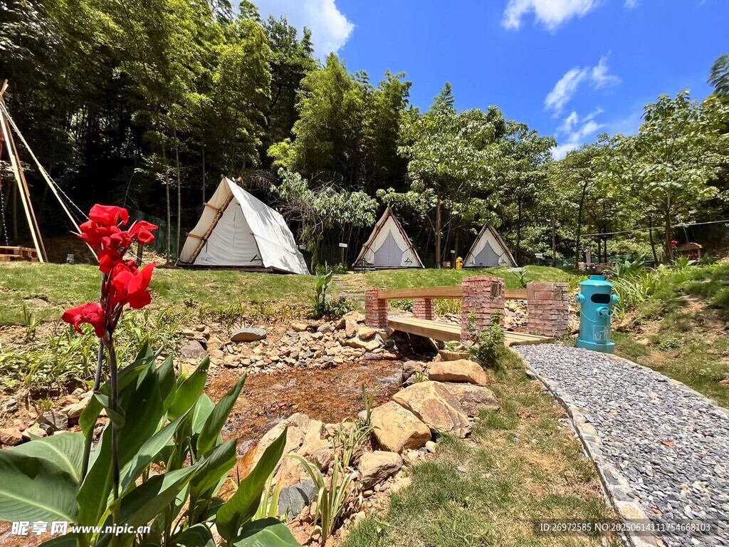 山林间的精致露营场景
