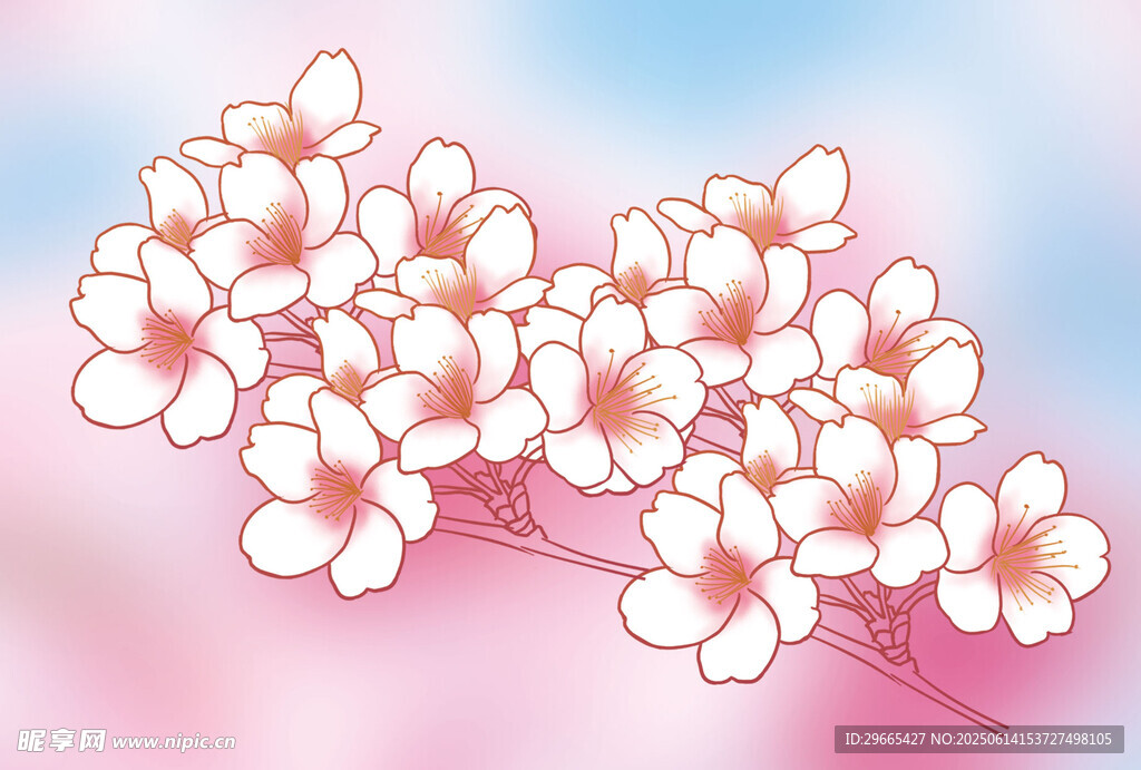 梦幻粉色樱花枝