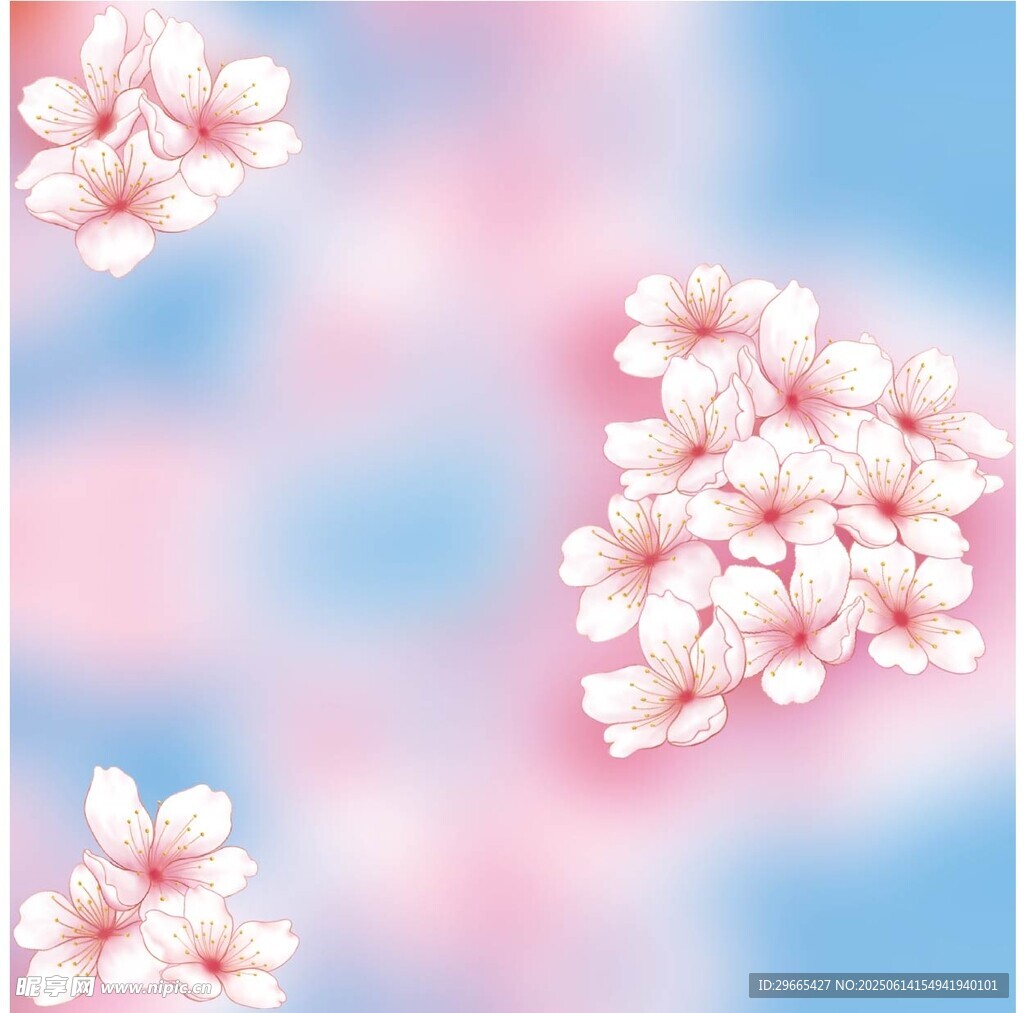 樱花