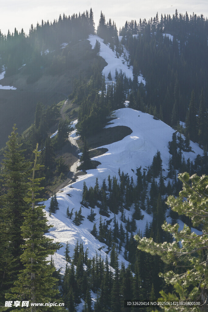 山林雪景风光