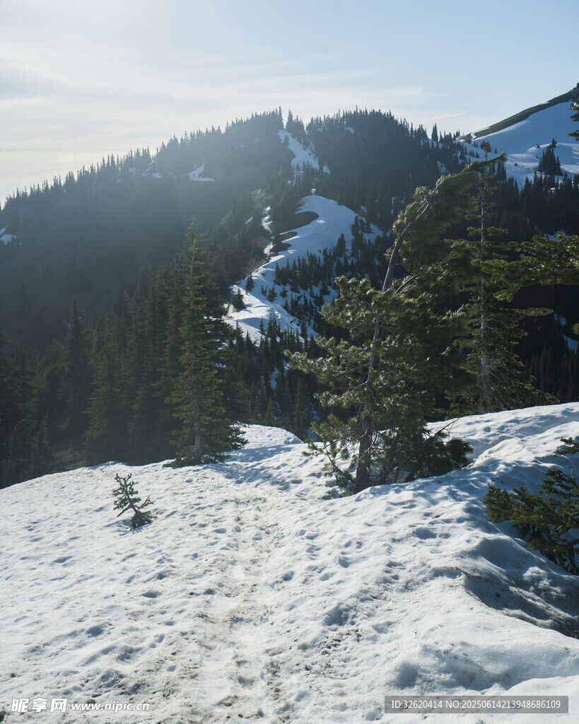 冬日雪山林间雪景