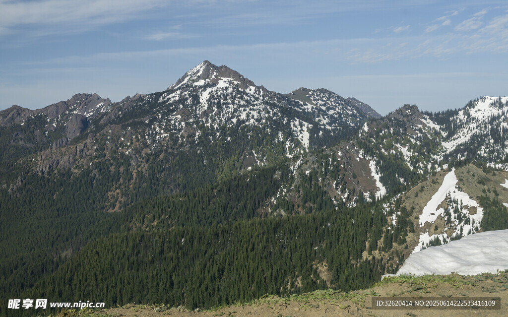 壮丽雪山与葱郁山林景观
