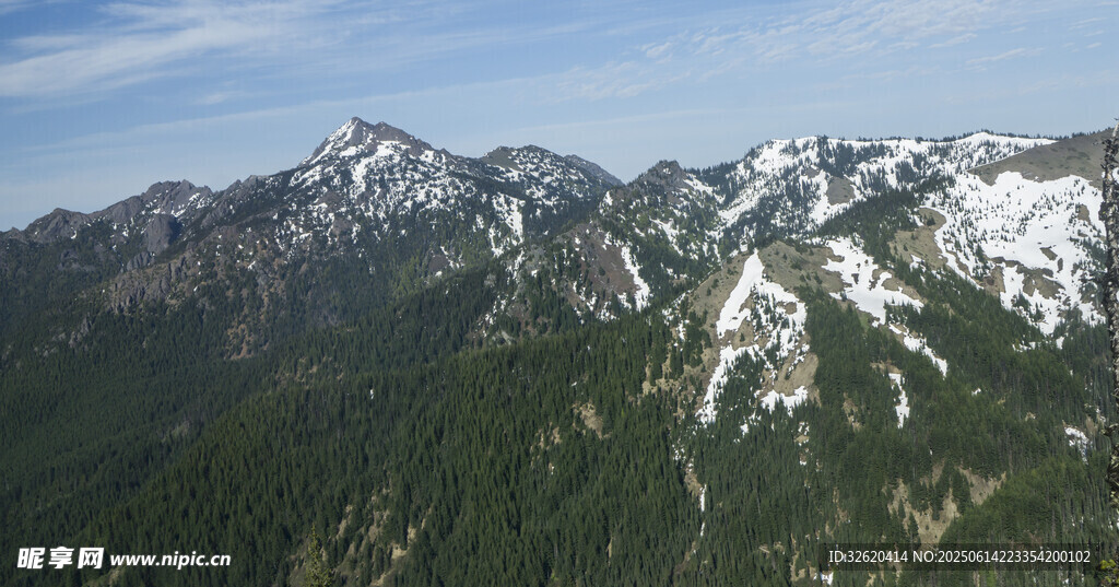 壮丽雪山与葱郁山林景观