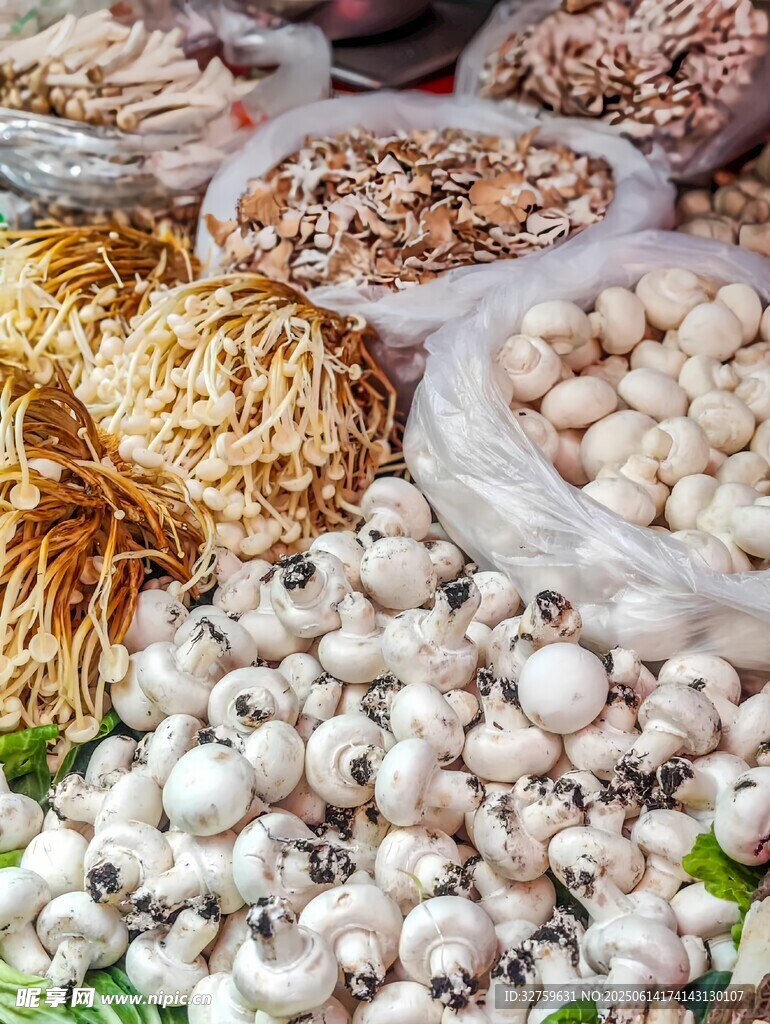 多样干货菌类食材展示