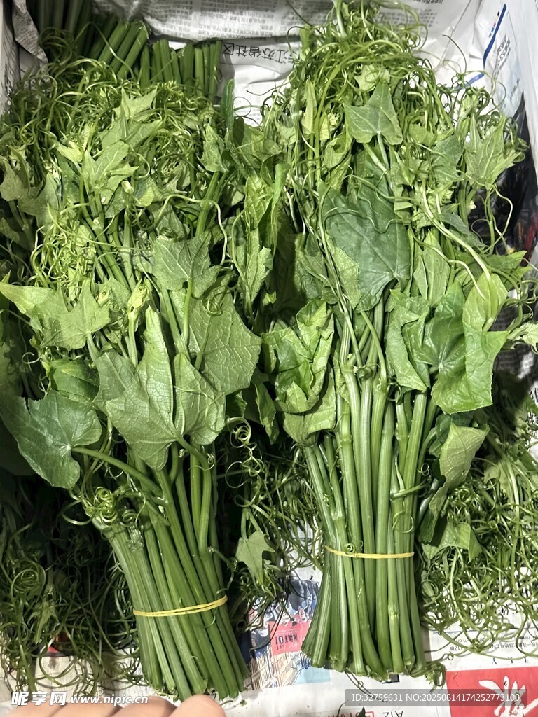新鲜菠菜待售