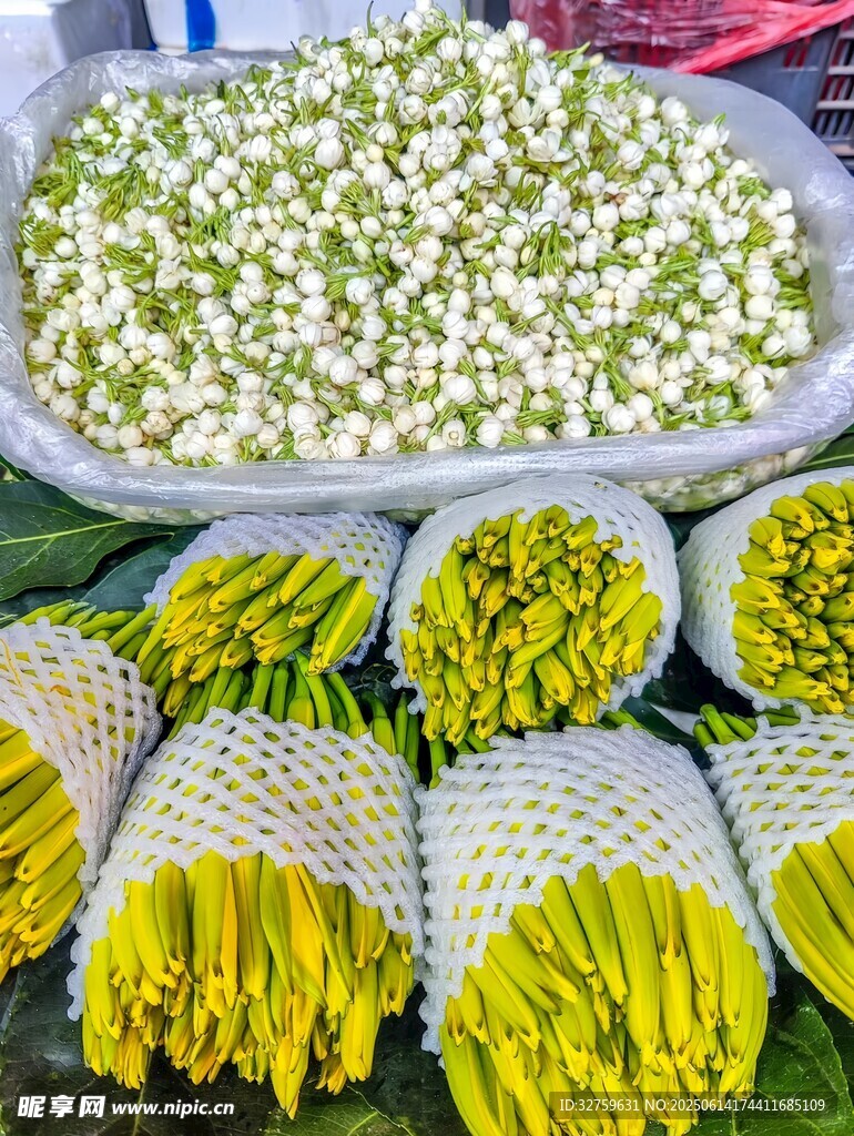 新鲜花卉待售