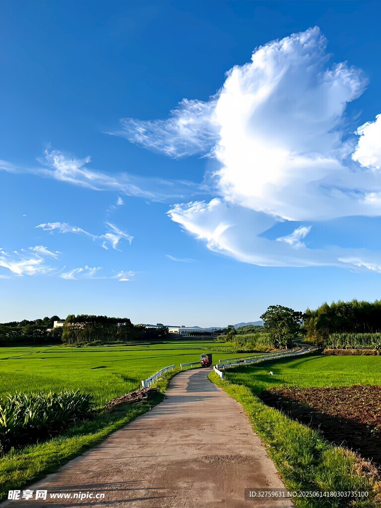 乡间小路田园风光美景