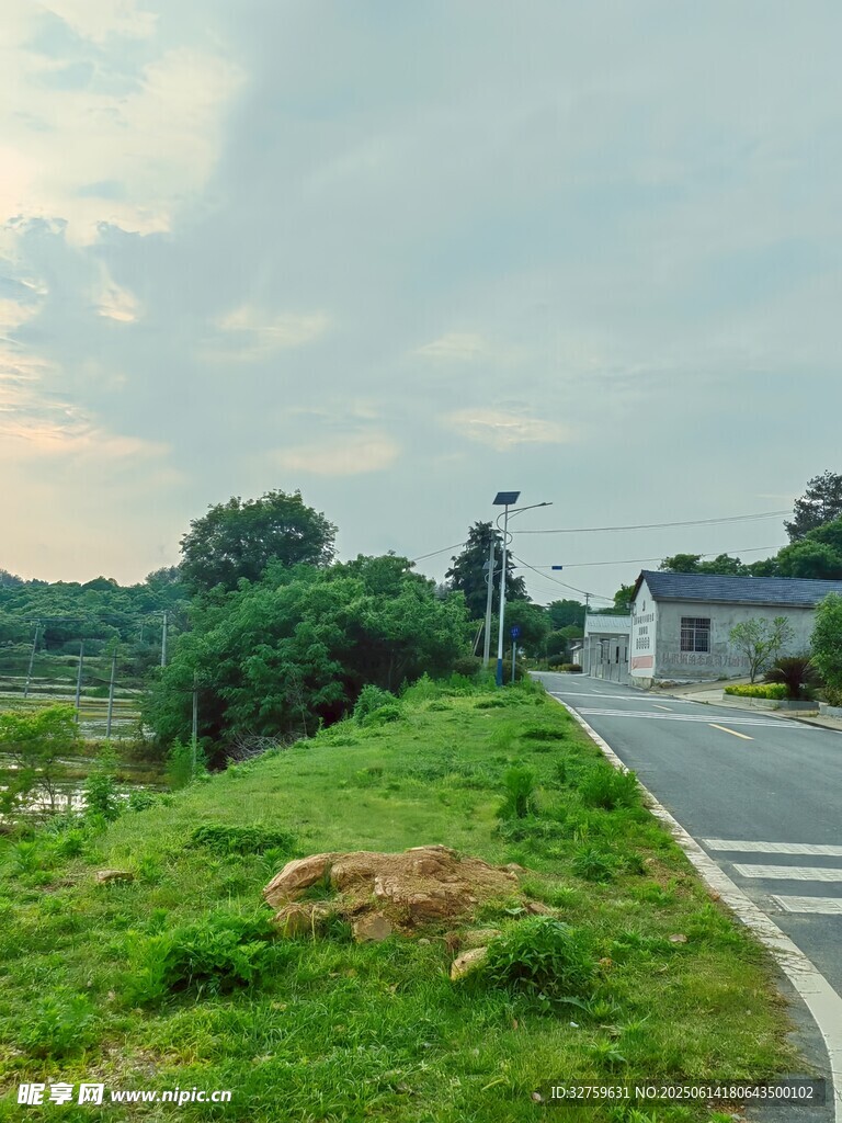 乡村绿意盎然的路边风景