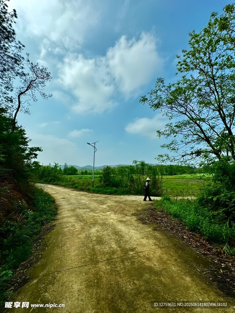 乡间土路田园风光美景
