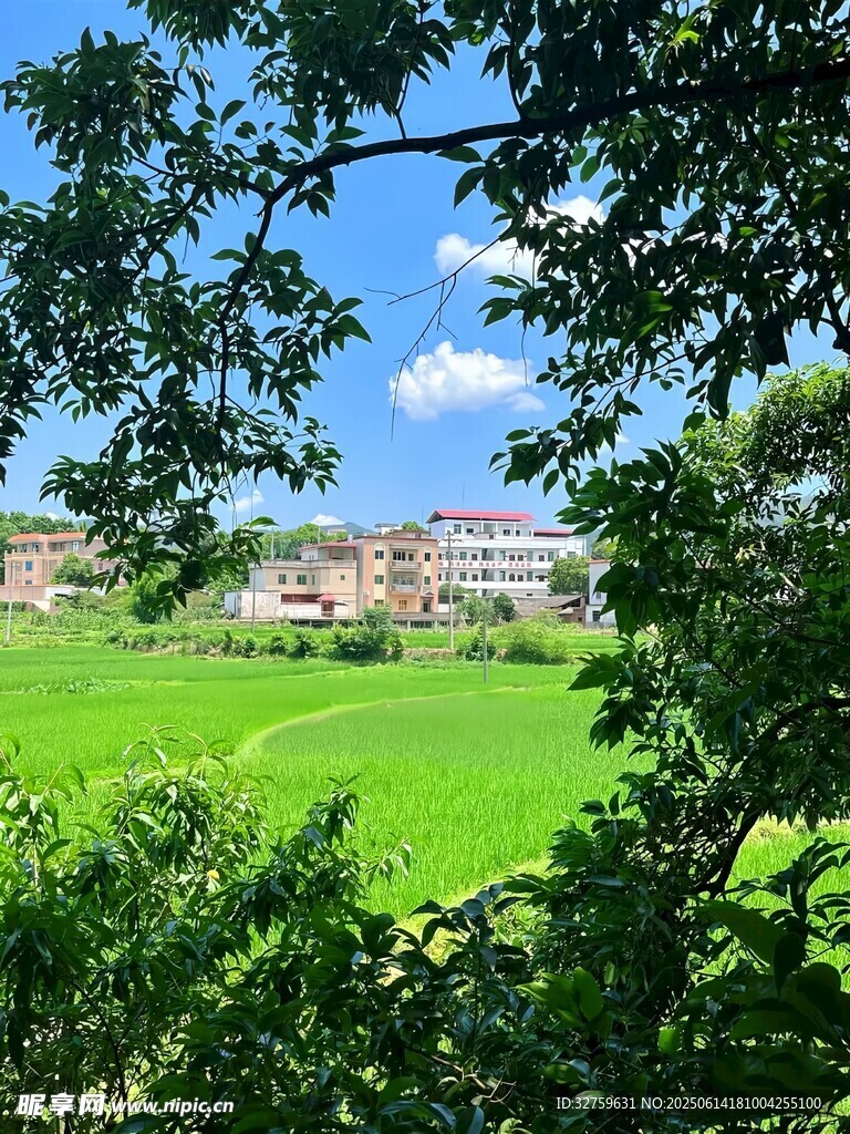 绿野之上的城市风光