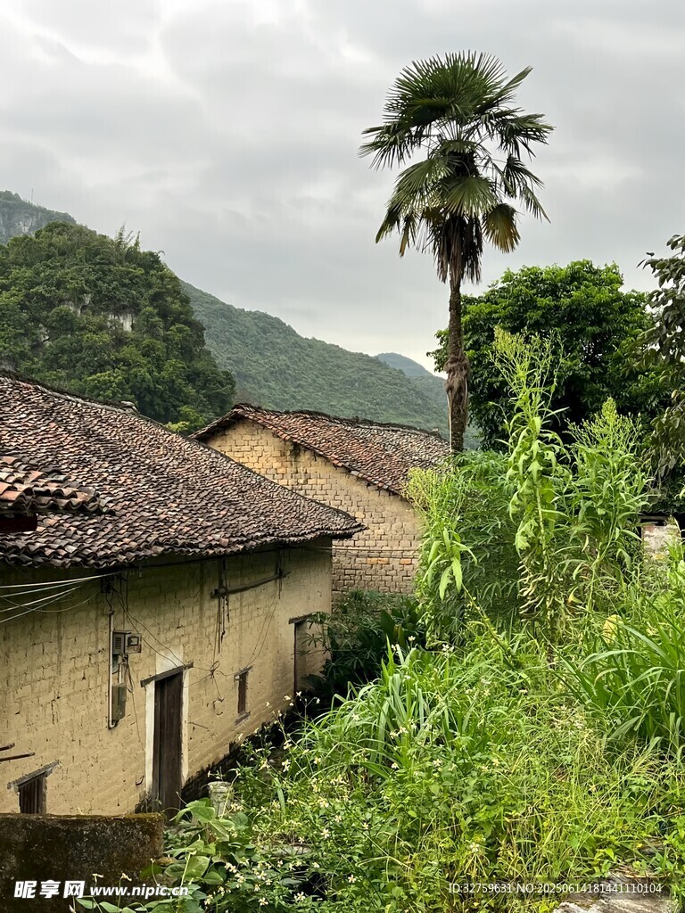 乡村老旧房屋与葱郁植被