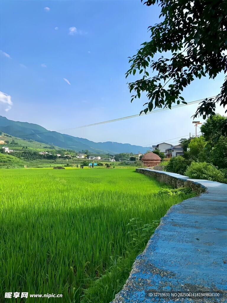 乡间绿野小路田园风光