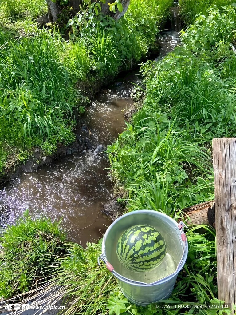 溪边绿植旁的清新水桶