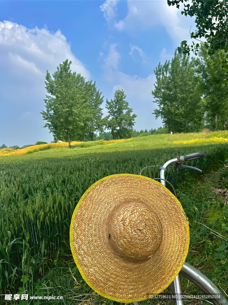 田野中的草帽