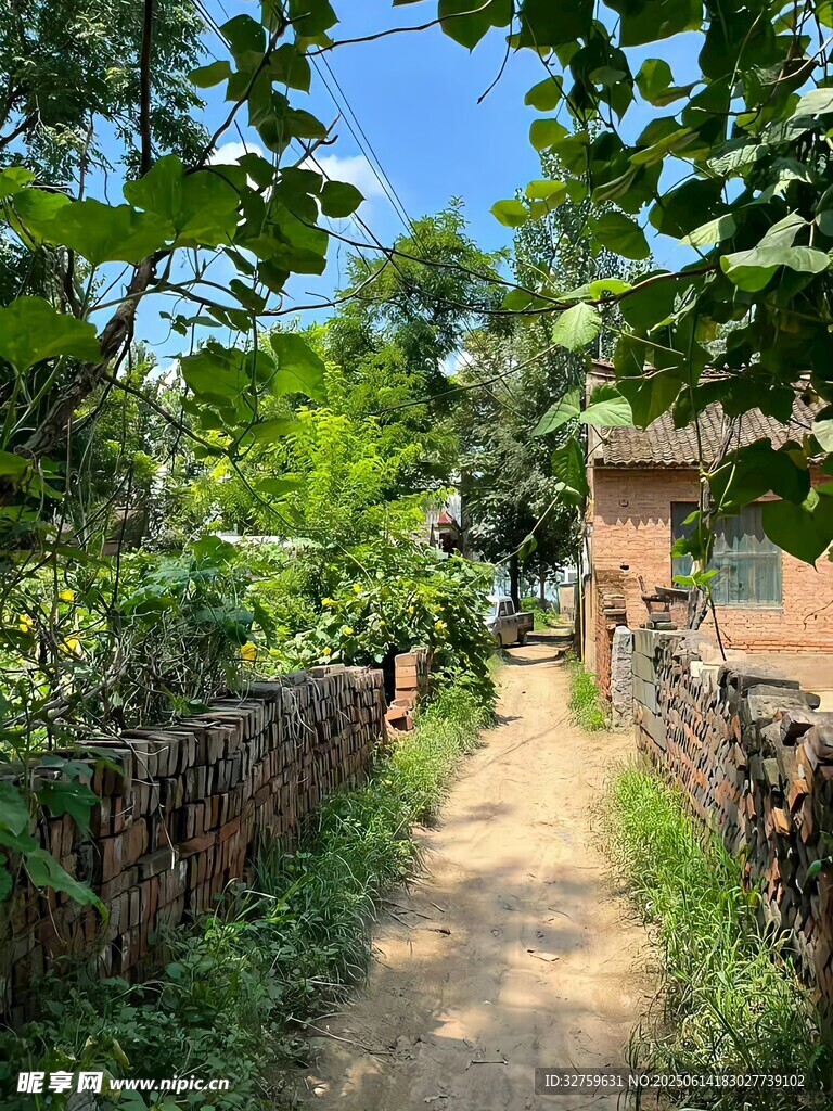 乡村小径绿意环绕的宁静处
