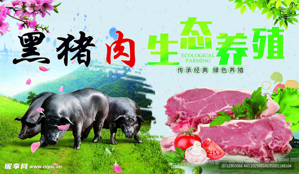 生态养殖黑猪肉