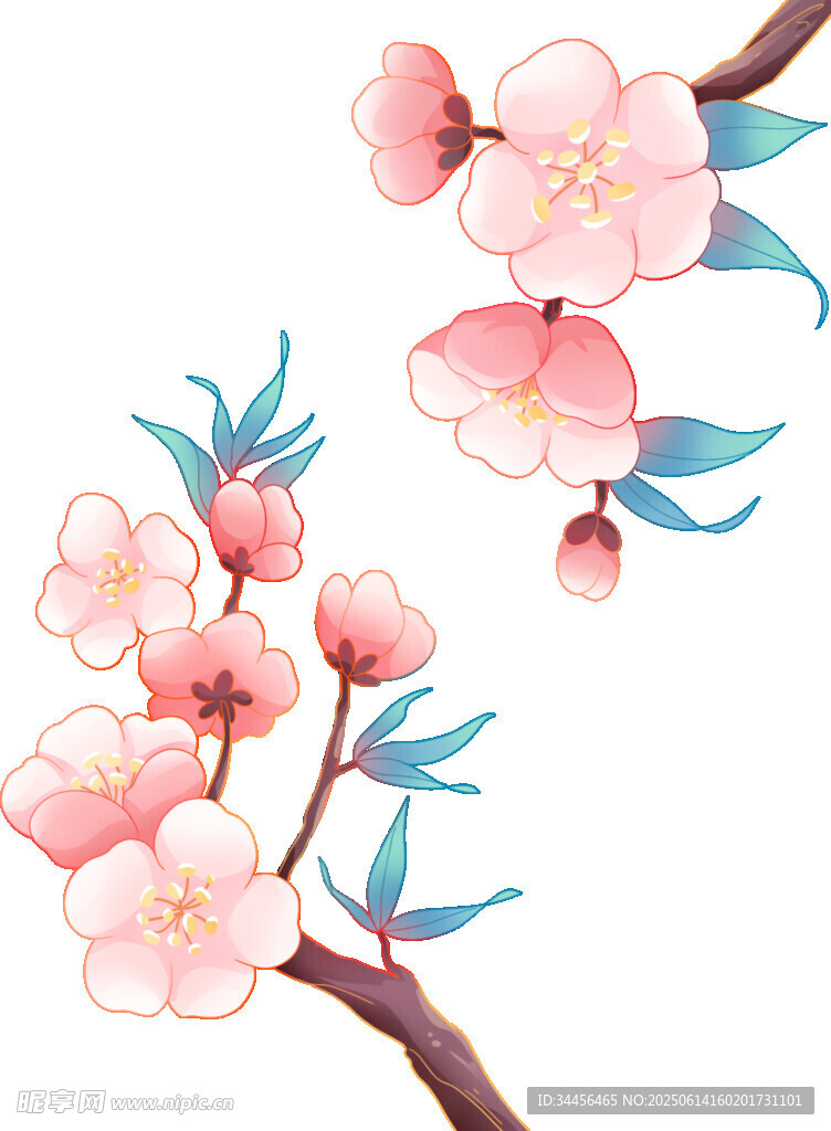 花  桃花  