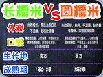 长糯米与圆糯米对比图