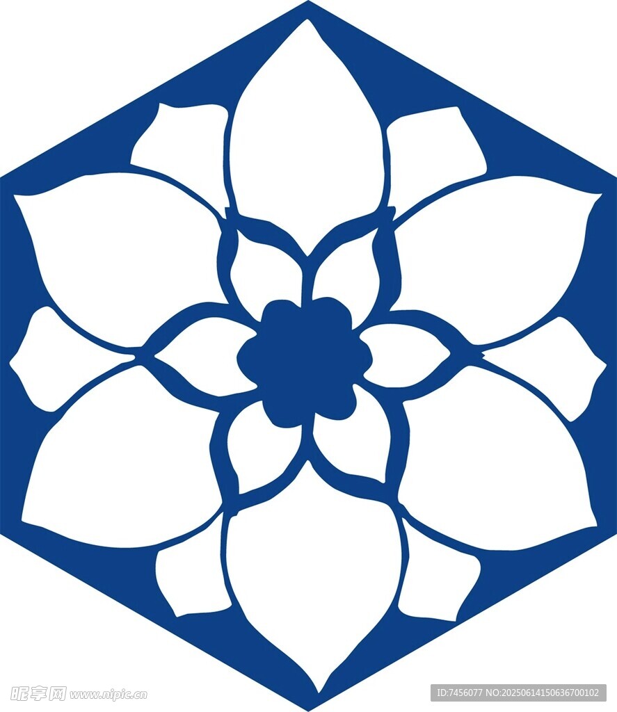 蓝白花朵几何图案