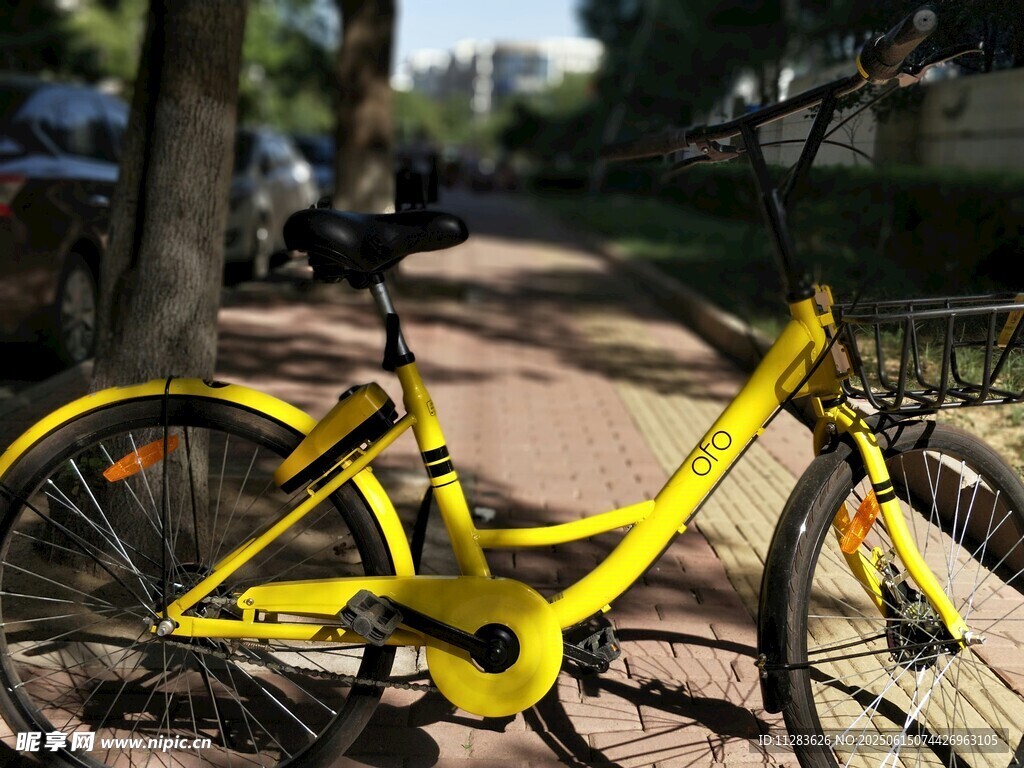 路边停放的黄色共享单车