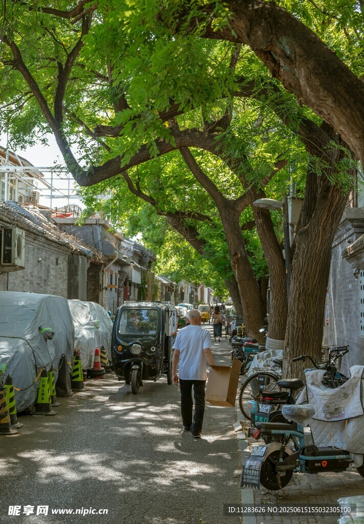 绿荫下的小巷与行人