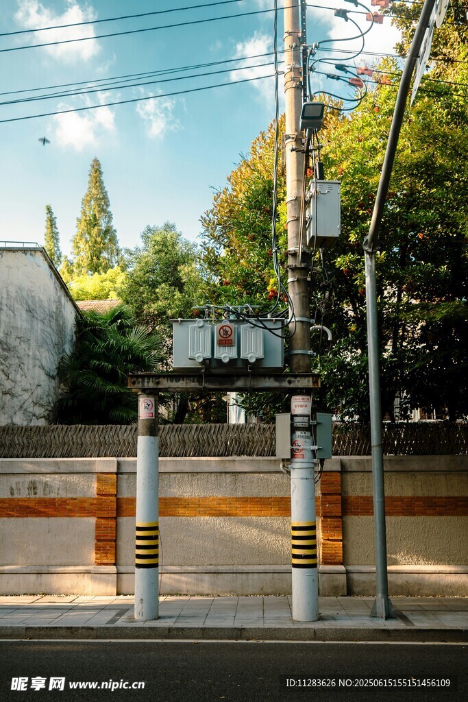 城市街道旁的电线杆与绿植