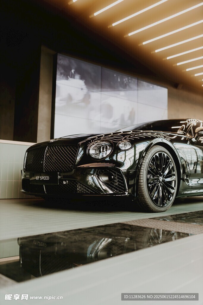 奢华宾利汽车展示