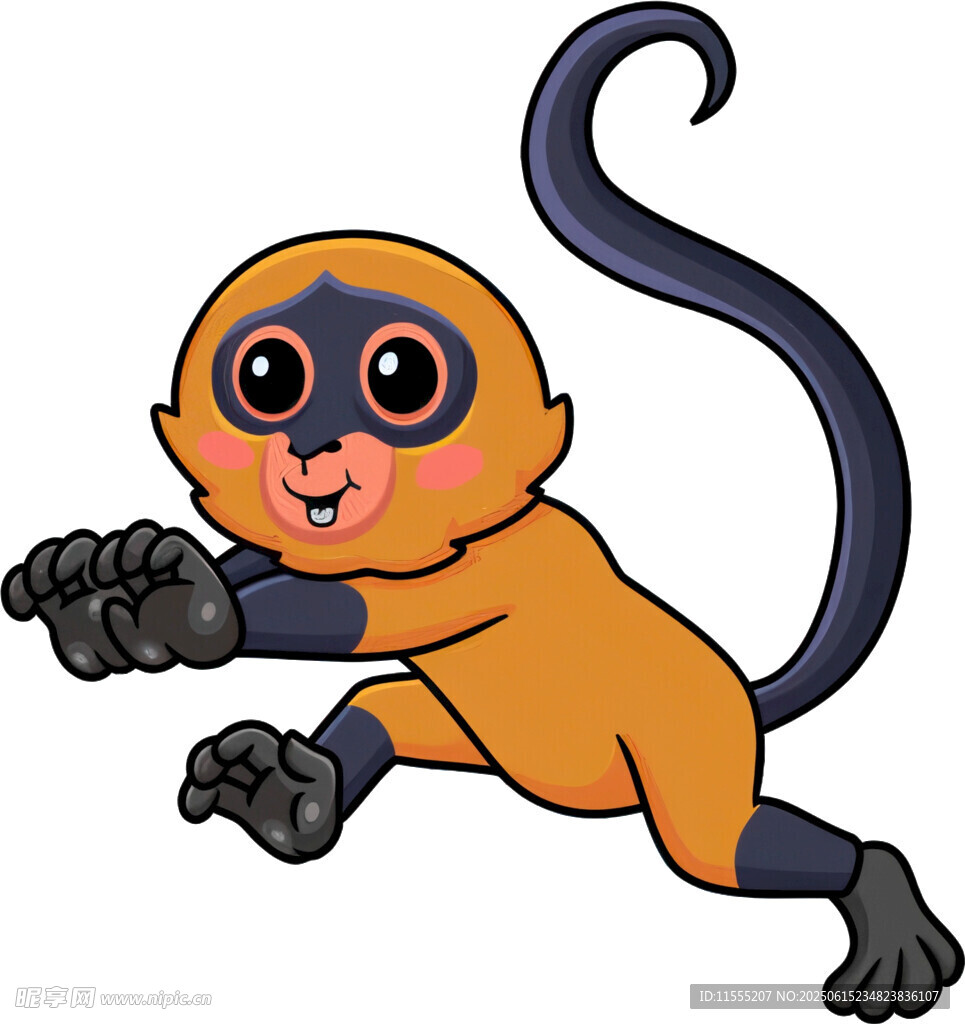 跳跃的可爱小猴子