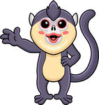可爱猴子打招呼