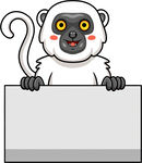 可爱猴子举空白标牌