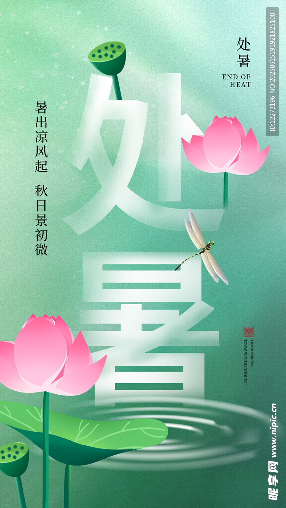 处暑时节荷花蜻蜓美景