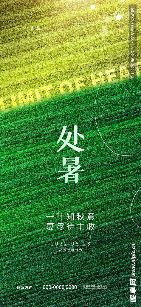 处暑时节绿意盎然景象