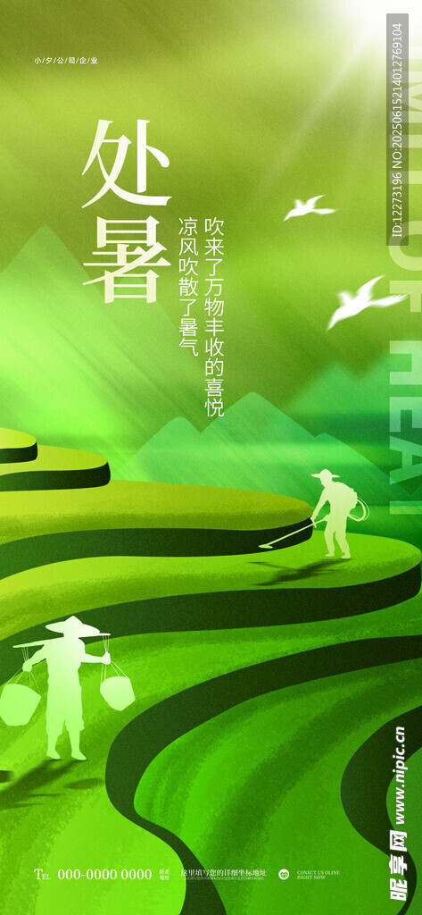 田园风光中的悠然漫步