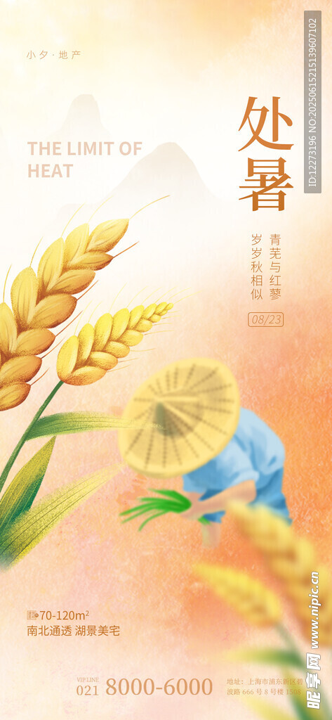 处暑时节麦穗与飞鸟图景
