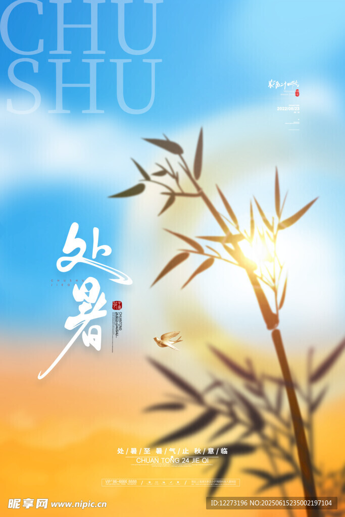 处暑时节的清新竹景