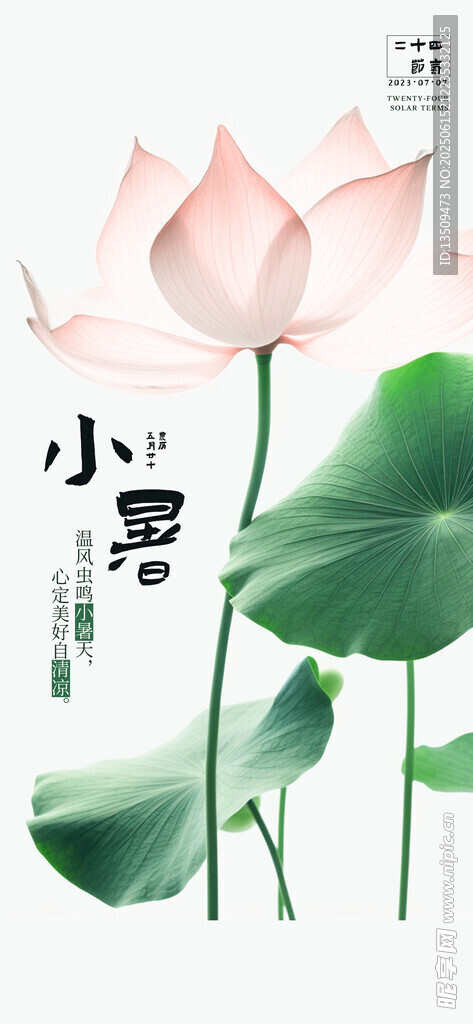 小暑