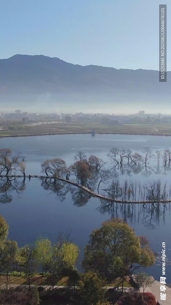 湖畔枯树映碧水美景