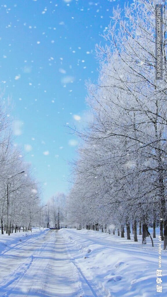 冬日雪林美景
