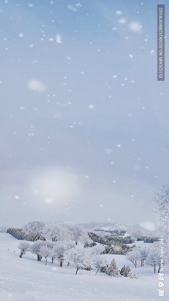 冬日雪景银装素裹的世界
