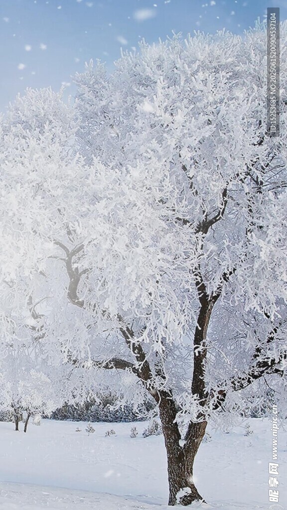 冬日孤树雪景