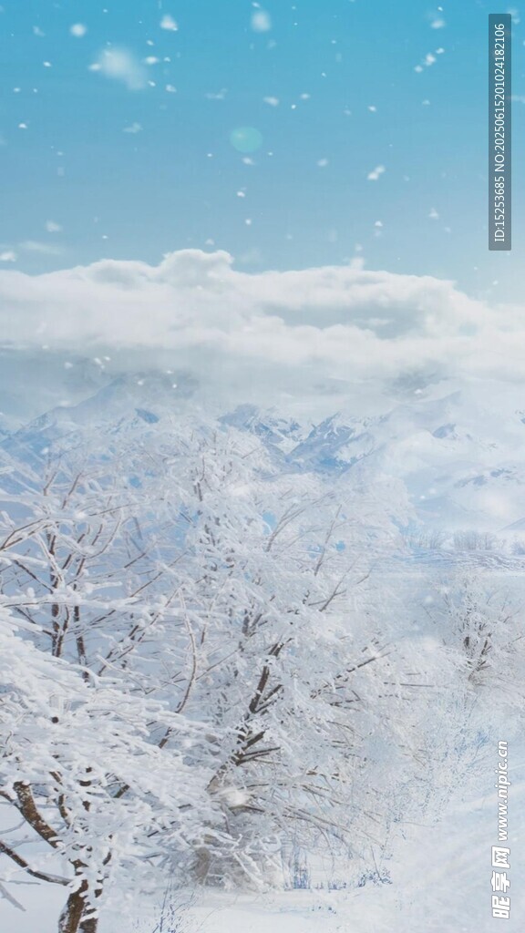 冬日雪景银装素裹的世界