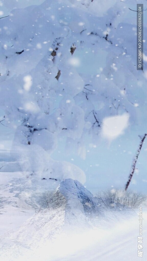 冬日雪景雪花纷飞