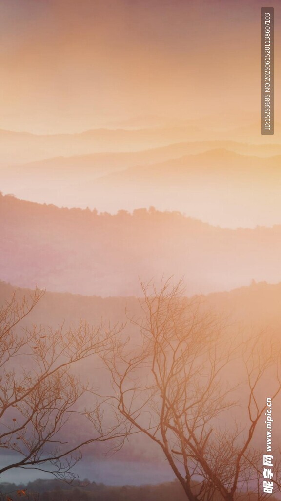 日出时分的萧瑟山野景色
