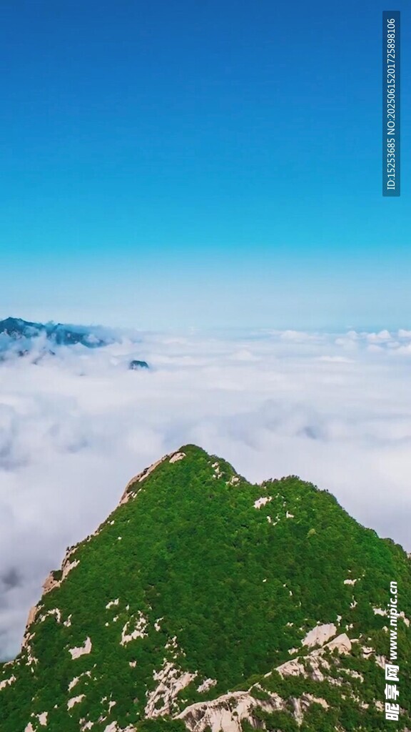 山巅云海美景